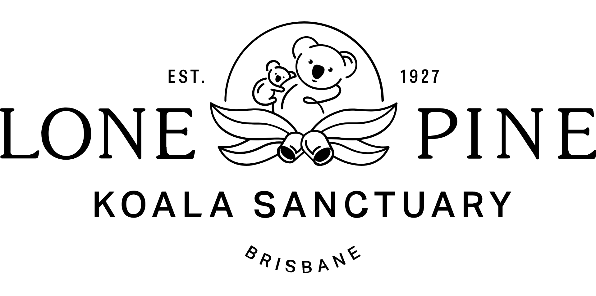 lonepine koala sanctuary